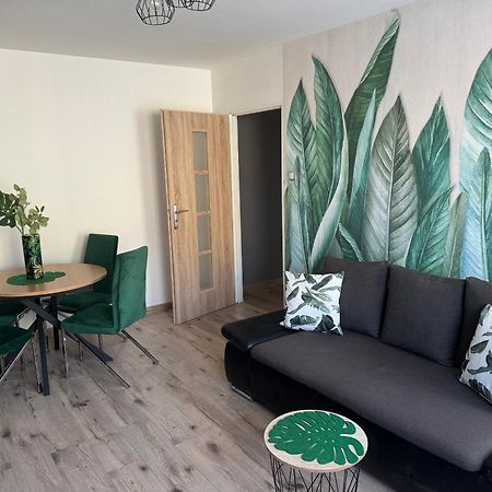 Blue Apartment Close To Old Town Bydgoszcz Exterior photo